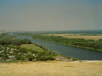    .  Evgenia Kononova   wikipedia.org