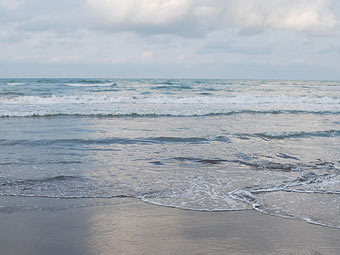  .   Ayda D   wikipedia.org