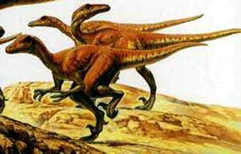 -.    nascarulz.tripod.com