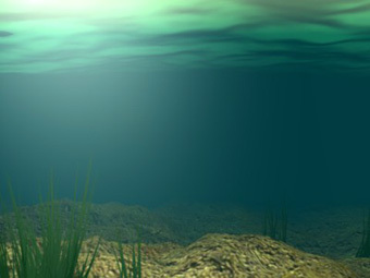  ,       .    anim8or.com