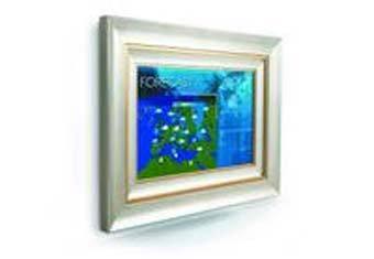  Philips MiraVision.    epinions.com