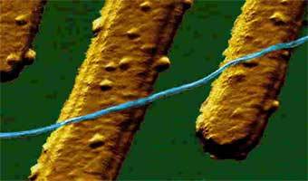  .    www.mb.tn.tudelft.nl