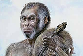 Homo floresiensis.    National Geographics