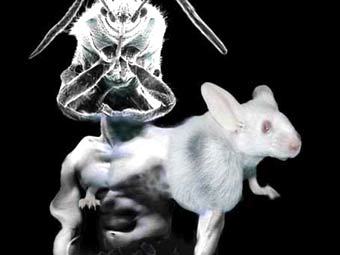    antidelusionmechanism.org