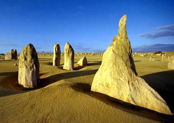  ,   www.pierluigisurace.it