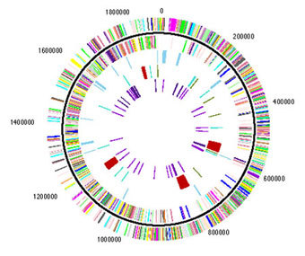   .    micro-gen.ouhsc.edu