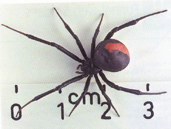  "  ",    www.fsbio-hannover.de