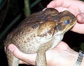  .    www.fdrproject.org